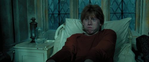 Click to view full size image
==============
PdA-Potterish_6776.jpg PdA-Potterish_6776.jpg