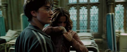 Click to view full size image
==============
PdA-Potterish_6872.jpg PdA-Potterish_6872.jpg