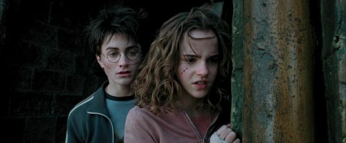 PdA-Potterish_6946.jpg