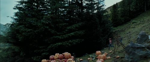 Click to view full size image
==============
PdA-Potterish_7016.jpg PdA-Potterish_7016.jpg
