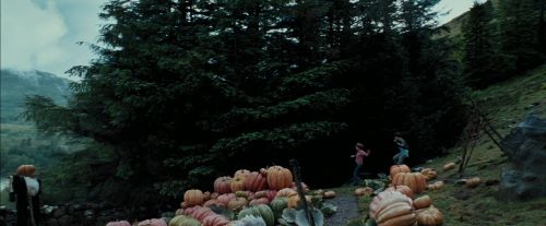 Click to view full size image
==============
PdA-Potterish_7017.jpg PdA-Potterish_7017.jpg