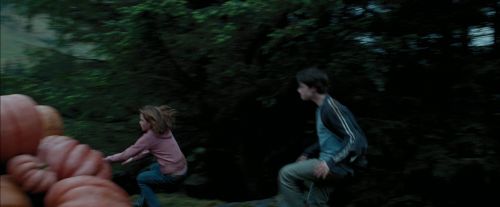 Click to view full size image
==============
PdA-Potterish_7018.jpg PdA-Potterish_7018.jpg