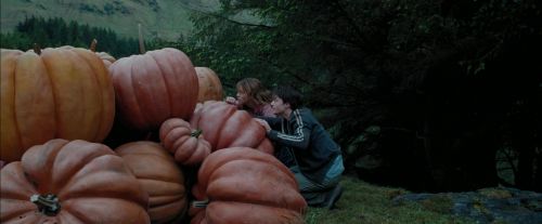 Click to view full size image
==============
PdA-Potterish_7020.jpg PdA-Potterish_7020.jpg