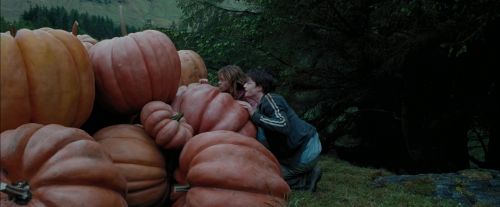 Click to view full size image
==============
PdA-Potterish_7021.jpg PdA-Potterish_7021.jpg