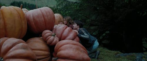 PdA-Potterish_7022.jpg