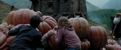 PdA-Potterish_7023.jpg