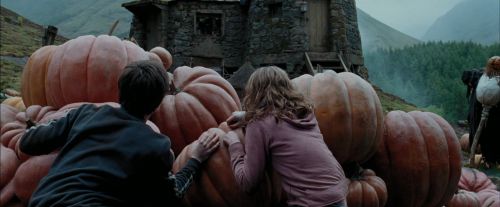 Click to view full size image
==============
PdA-Potterish_7024.jpg PdA-Potterish_7024.jpg