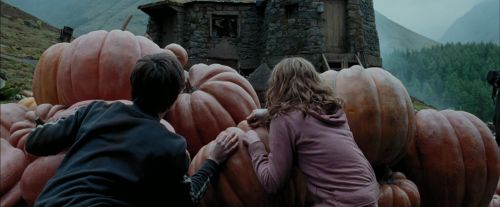 Click to view full size image
==============
PdA-Potterish_7025.jpg PdA-Potterish_7025.jpg