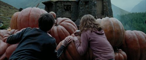 Click to view full size image
==============
PdA-Potterish_7026.jpg PdA-Potterish_7026.jpg