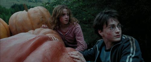 PdA-Potterish_7027.jpg