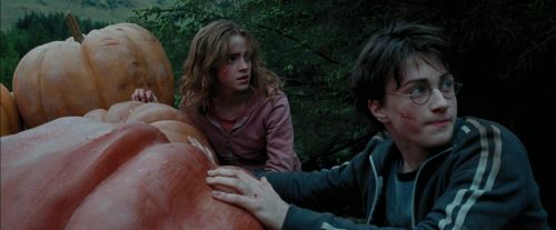 PdA-Potterish_7031.jpg