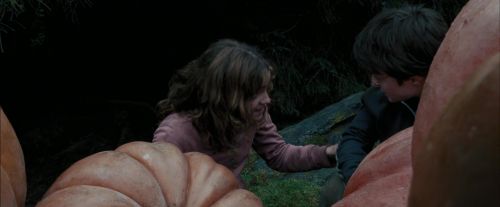 PdA-Potterish_7033.jpg