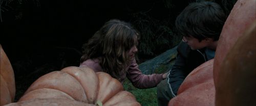 PdA-Potterish_7034.jpg