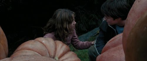 PdA-Potterish_7035.jpg