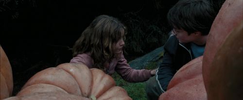 PdA-Potterish_7036.jpg