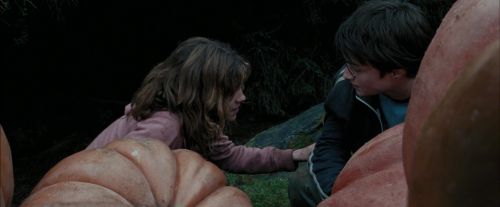 PdA-Potterish_7037.jpg