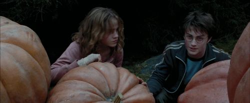 Click to view full size image
==============
PdA-Potterish_7044.jpg PdA-Potterish_7044.jpg