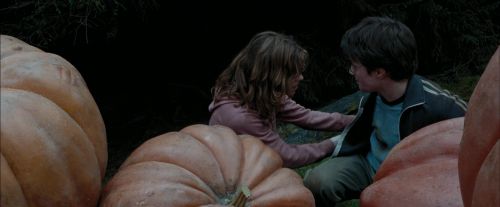 PdA-Potterish_7046.jpg