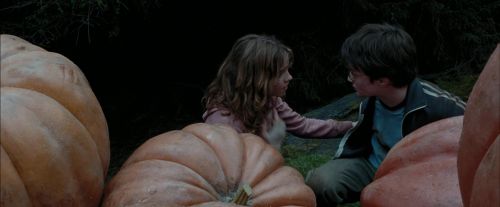 Click to view full size image
==============
PdA-Potterish_7047.jpg PdA-Potterish_7047.jpg