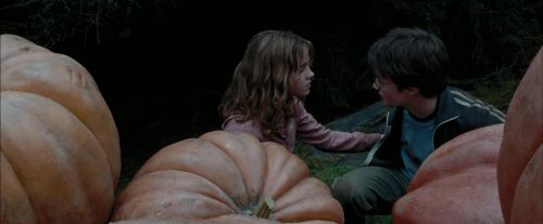 Click to view full size image
==============
PdA-Potterish_7048.jpg PdA-Potterish_7048.jpg