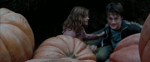 PdA-Potterish_7049.jpg