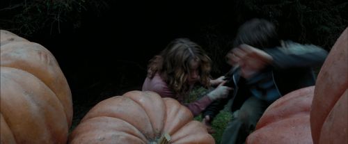 PdA-Potterish_7050.jpg