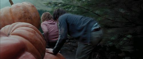 PdA-Potterish_7052.jpg