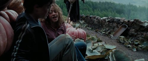 PdA-Potterish_7056.jpg