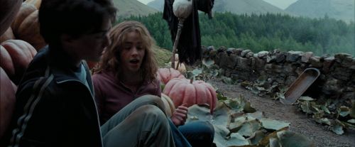 PdA-Potterish_7057.jpg