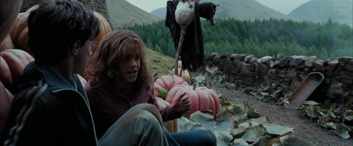 PdA-Potterish_7058.jpg