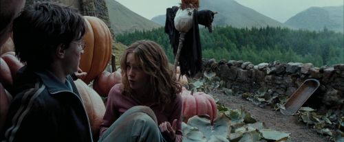 Click to view full size image
==============
PdA-Potterish_7060.jpg PdA-Potterish_7060.jpg