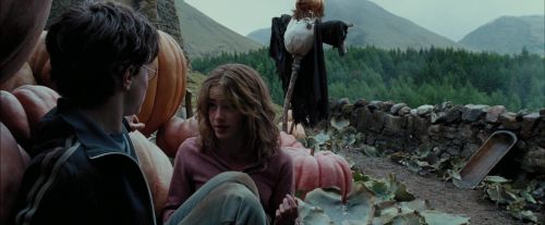 PdA-Potterish_7063.jpg