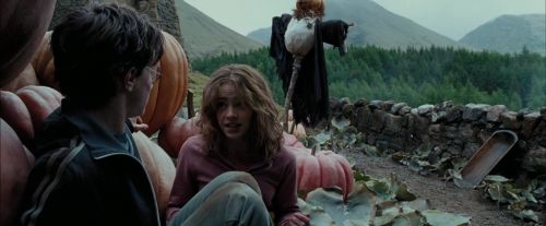 PdA-Potterish_7064.jpg