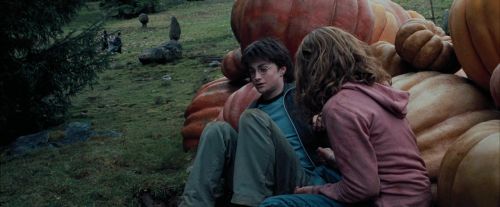 PdA-Potterish_7068.jpg