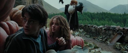 Click to view full size image
==============
PdA-Potterish_7069.jpg PdA-Potterish_7069.jpg