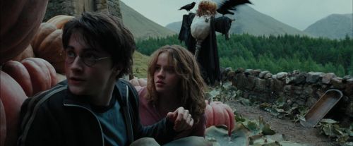 PdA-Potterish_7070.jpg