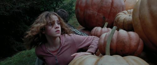 Click to view full size image
==============
PdA-Potterish_7072.jpg PdA-Potterish_7072.jpg