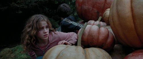 Click to view full size image
==============
PdA-Potterish_7073.jpg PdA-Potterish_7073.jpg