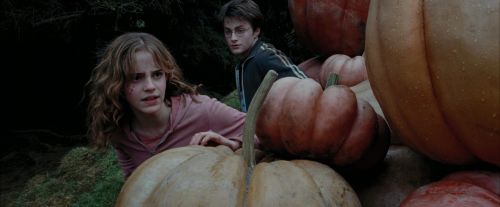 Click to view full size image
==============
PdA-Potterish_7074.jpg PdA-Potterish_7074.jpg