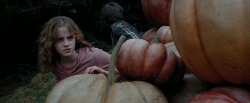 PdA-Potterish_7075.jpg