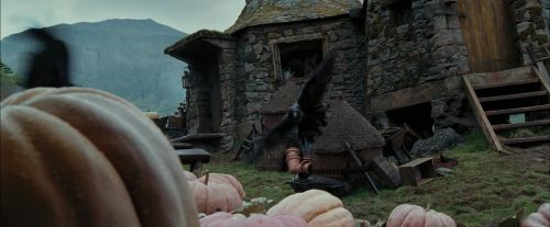 Click to view full size image
==============
PdA-Potterish_7076.jpg PdA-Potterish_7076.jpg