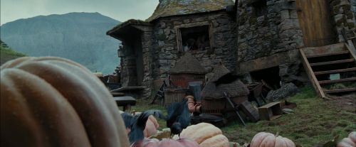 PdA-Potterish_7077.jpg