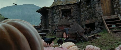 Click to view full size image
==============
PdA-Potterish_7078.jpg PdA-Potterish_7078.jpg