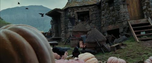 Click to view full size image
==============
PdA-Potterish_7079.jpg PdA-Potterish_7079.jpg