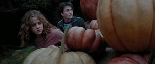 PdA-Potterish_7080.jpg