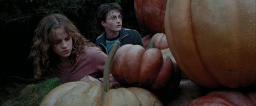 Click to view full size image
==============
PdA-Potterish_7081.jpg PdA-Potterish_7081.jpg