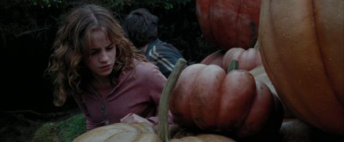 Click to view full size image
==============
PdA-Potterish_7082.jpg PdA-Potterish_7082.jpg