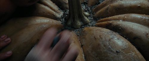 PdA-Potterish_7085.jpg