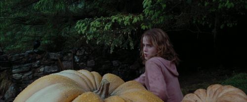 PdA-Potterish_7088.jpg