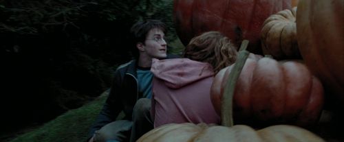 PdA-Potterish_7092.jpg